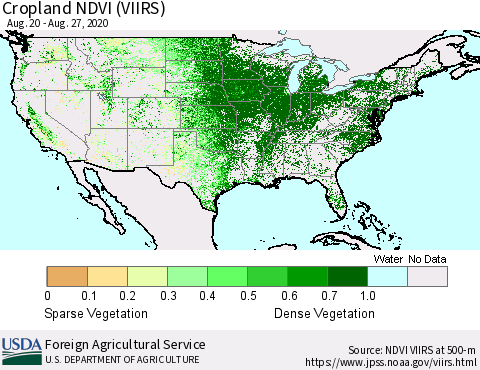 United States Cropland NDVI (VIIRS) Thematic Map For 8/21/2020 - 8/31/2020