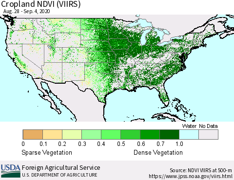 United States Cropland NDVI (VIIRS) Thematic Map For 9/1/2020 - 9/10/2020