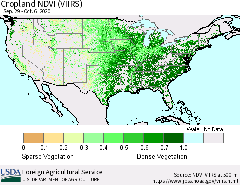 United States Cropland NDVI (VIIRS) Thematic Map For 10/1/2020 - 10/10/2020