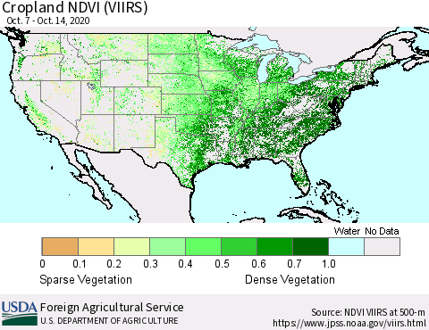 United States Cropland NDVI (VIIRS) Thematic Map For 10/11/2020 - 10/20/2020