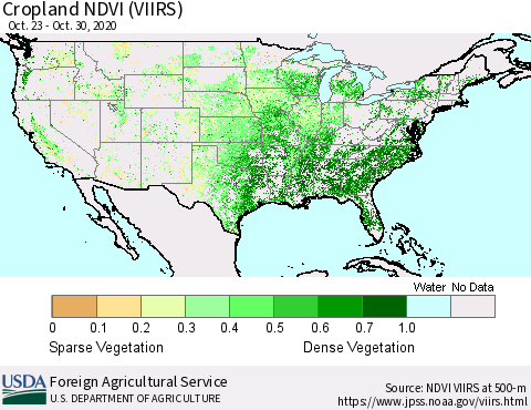 United States Cropland NDVI (VIIRS) Thematic Map For 10/21/2020 - 10/31/2020