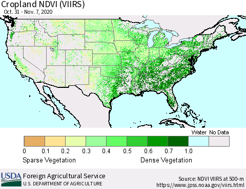 United States Cropland NDVI (VIIRS) Thematic Map For 11/1/2020 - 11/10/2020