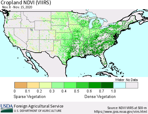 United States Cropland NDVI (VIIRS) Thematic Map For 11/11/2020 - 11/20/2020