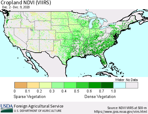 United States Cropland NDVI (VIIRS) Thematic Map For 12/1/2020 - 12/10/2020