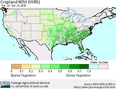 United States Cropland NDVI (VIIRS) Thematic Map For 12/21/2020 - 12/31/2020
