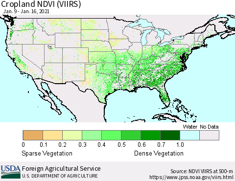 United States Cropland NDVI (VIIRS) Thematic Map For 1/11/2021 - 1/20/2021