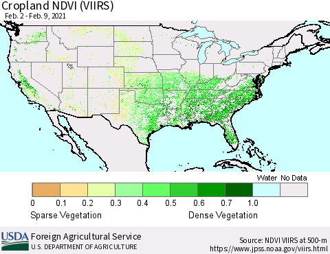 United States Cropland NDVI (VIIRS) Thematic Map For 2/1/2021 - 2/10/2021