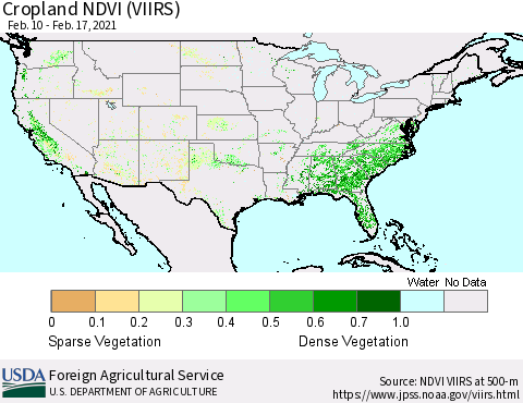 United States Cropland NDVI (VIIRS) Thematic Map For 2/11/2021 - 2/20/2021