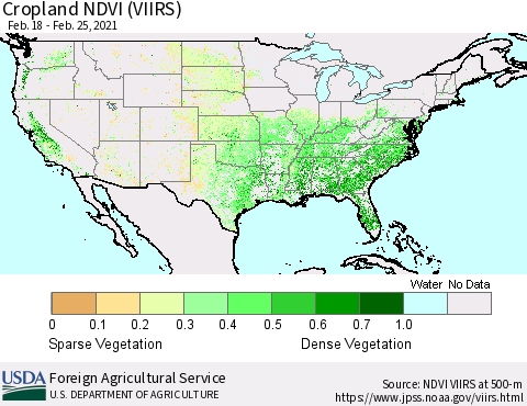 United States Cropland NDVI (VIIRS) Thematic Map For 2/21/2021 - 2/28/2021