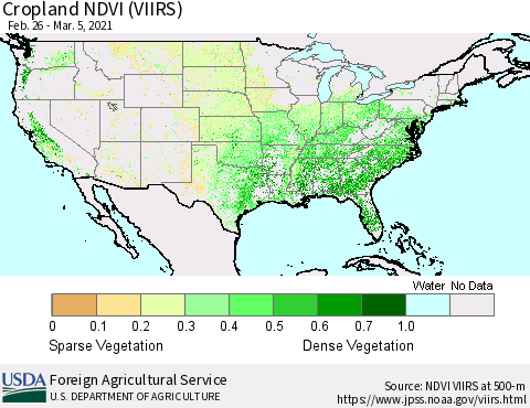United States Cropland NDVI (VIIRS) Thematic Map For 3/1/2021 - 3/10/2021