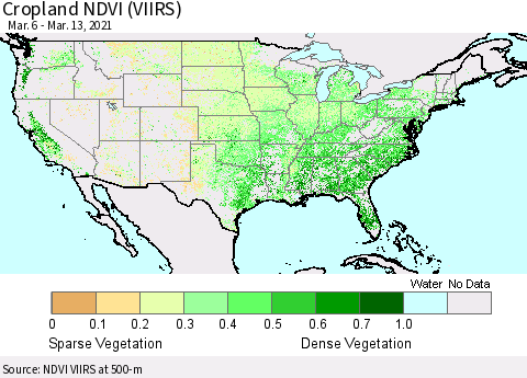United States Cropland NDVI (VIIRS) Thematic Map For 3/6/2021 - 3/13/2021