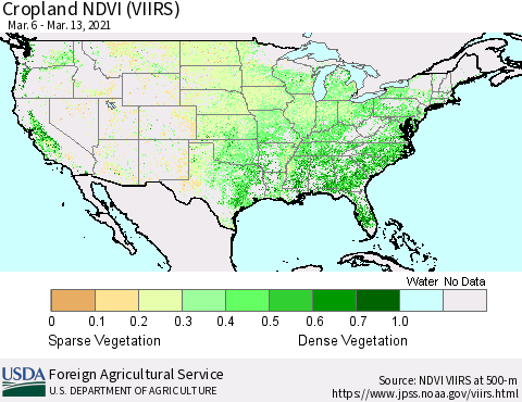 United States Cropland NDVI (VIIRS) Thematic Map For 3/11/2021 - 3/20/2021