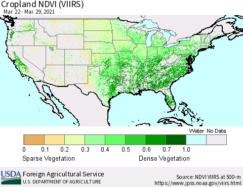 United States Cropland NDVI (VIIRS) Thematic Map For 3/21/2021 - 3/31/2021