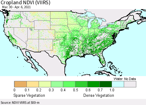 United States Cropland NDVI (VIIRS) Thematic Map For 3/30/2021 - 4/6/2021