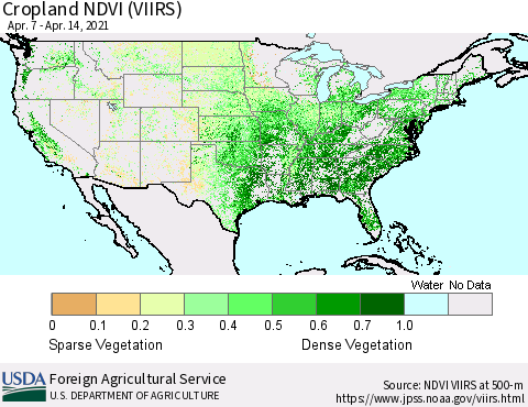 United States Cropland NDVI (VIIRS) Thematic Map For 4/11/2021 - 4/20/2021