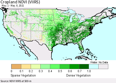 United States Cropland NDVI (VIIRS) Thematic Map For 5/1/2021 - 5/8/2021