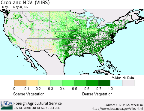 United States Cropland NDVI (VIIRS) Thematic Map For 5/1/2021 - 5/10/2021