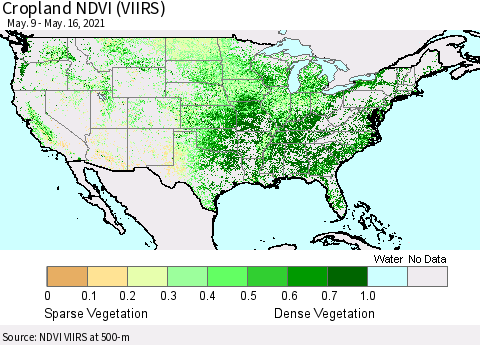 United States Cropland NDVI (VIIRS) Thematic Map For 5/9/2021 - 5/16/2021