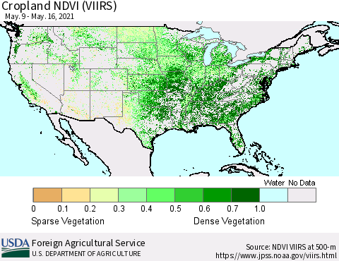 United States Cropland NDVI (VIIRS) Thematic Map For 5/11/2021 - 5/20/2021