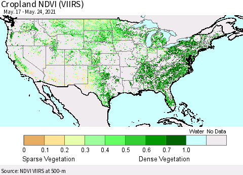 United States Cropland NDVI (VIIRS) Thematic Map For 5/17/2021 - 5/24/2021