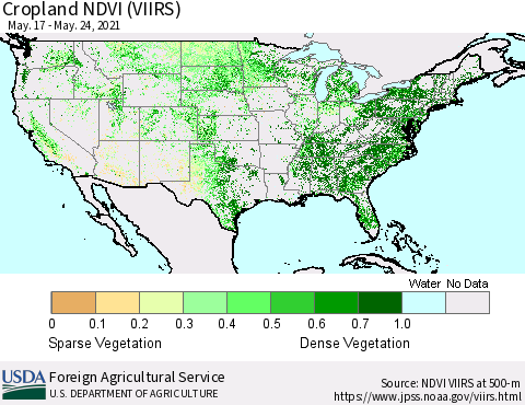 United States Cropland NDVI (VIIRS) Thematic Map For 5/21/2021 - 5/31/2021
