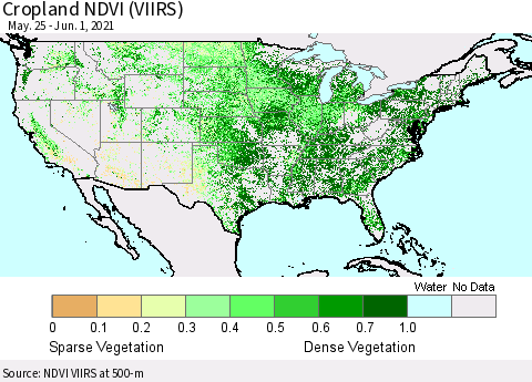 United States Cropland NDVI (VIIRS) Thematic Map For 5/25/2021 - 6/1/2021
