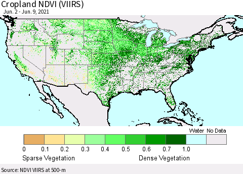 United States Cropland NDVI (VIIRS) Thematic Map For 6/2/2021 - 6/9/2021