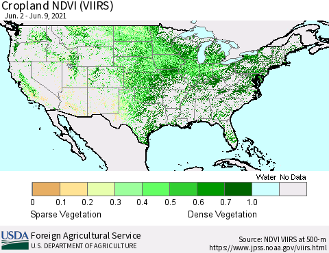 United States Cropland NDVI (VIIRS) Thematic Map For 6/1/2021 - 6/10/2021