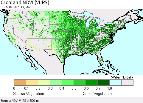 United States Cropland NDVI (VIIRS) Thematic Map For 6/10/2021 - 6/17/2021