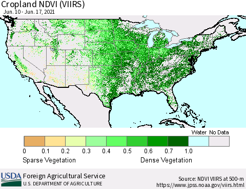 United States Cropland NDVI (VIIRS) Thematic Map For 6/11/2021 - 6/20/2021
