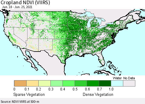 United States Cropland NDVI (VIIRS) Thematic Map For 6/18/2021 - 6/25/2021