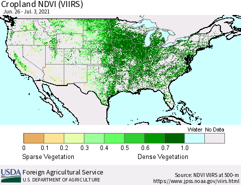 United States Cropland NDVI (VIIRS) Thematic Map For 7/1/2021 - 7/10/2021