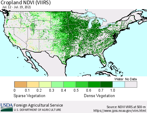 United States Cropland NDVI (VIIRS) Thematic Map For 7/11/2021 - 7/20/2021