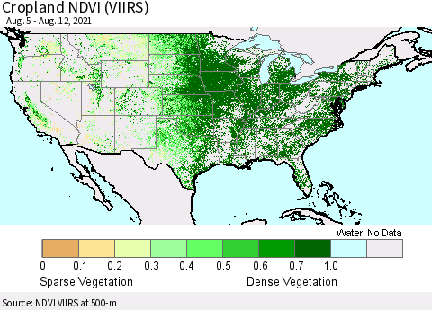 United States Cropland NDVI (VIIRS) Thematic Map For 8/5/2021 - 8/12/2021