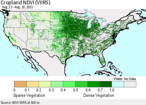 United States Cropland NDVI (VIIRS) Thematic Map For 8/11/2021 - 8/20/2021