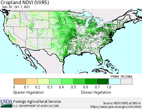 United States Cropland NDVI (VIIRS) Thematic Map For 10/1/2021 - 10/10/2021