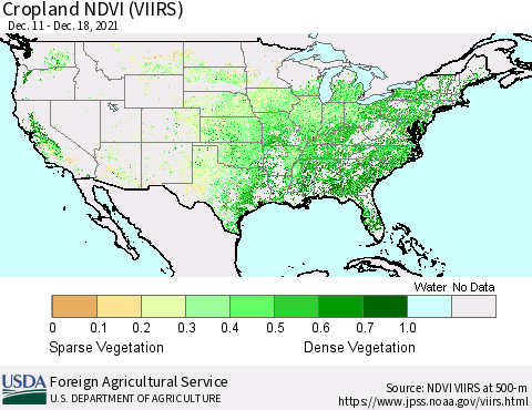 United States Cropland NDVI (VIIRS) Thematic Map For 12/11/2021 - 12/20/2021