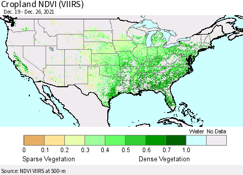 United States Cropland NDVI (VIIRS) Thematic Map For 12/19/2021 - 12/26/2021