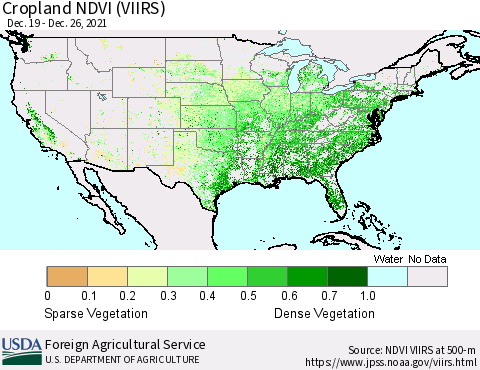 United States Cropland NDVI (VIIRS) Thematic Map For 12/21/2021 - 12/31/2021