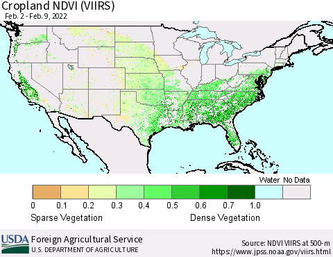 United States Cropland NDVI (VIIRS) Thematic Map For 2/1/2022 - 2/10/2022