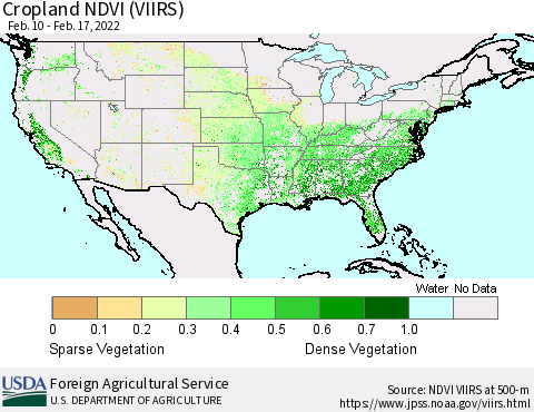 United States Cropland NDVI (VIIRS) Thematic Map For 2/11/2022 - 2/20/2022