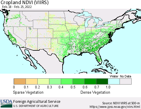 United States Cropland NDVI (VIIRS) Thematic Map For 2/21/2022 - 2/28/2022
