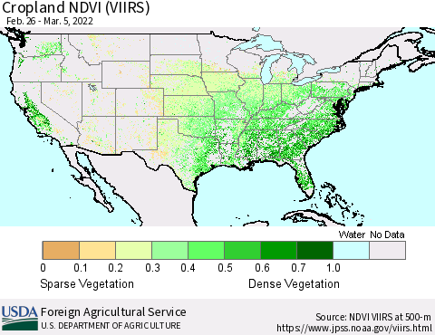 United States Cropland NDVI (VIIRS) Thematic Map For 3/1/2022 - 3/10/2022