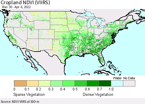 United States Cropland NDVI (VIIRS) Thematic Map For 3/30/2022 - 4/6/2022