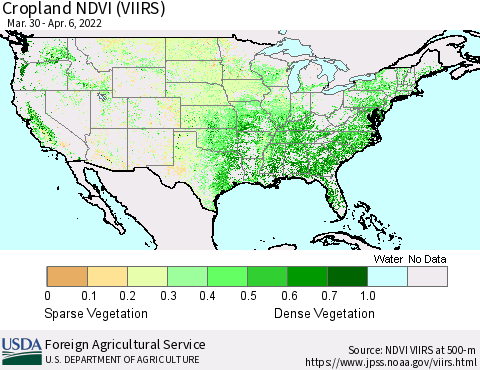United States Cropland NDVI (VIIRS) Thematic Map For 4/1/2022 - 4/10/2022