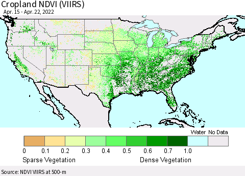 United States Cropland NDVI (VIIRS) Thematic Map For 4/15/2022 - 4/22/2022