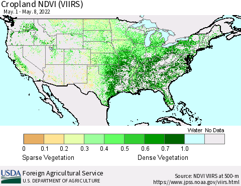 United States Cropland NDVI (VIIRS) Thematic Map For 5/1/2022 - 5/10/2022