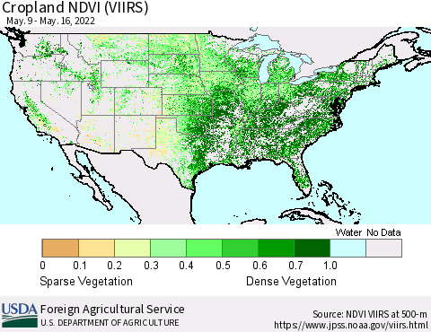 United States Cropland NDVI (VIIRS) Thematic Map For 5/11/2022 - 5/20/2022