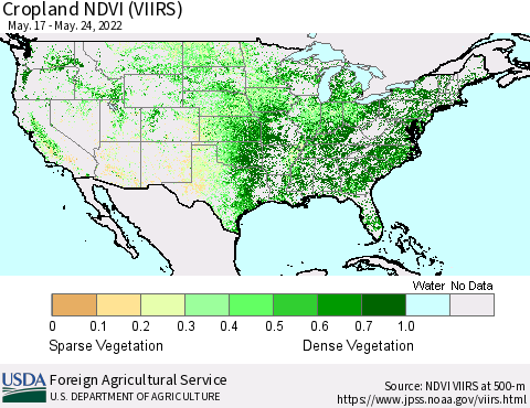 United States Cropland NDVI (VIIRS) Thematic Map For 5/21/2022 - 5/31/2022