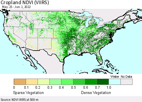 United States Cropland NDVI (VIIRS) Thematic Map For 5/25/2022 - 6/1/2022